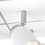 Lawley LED Spotlight