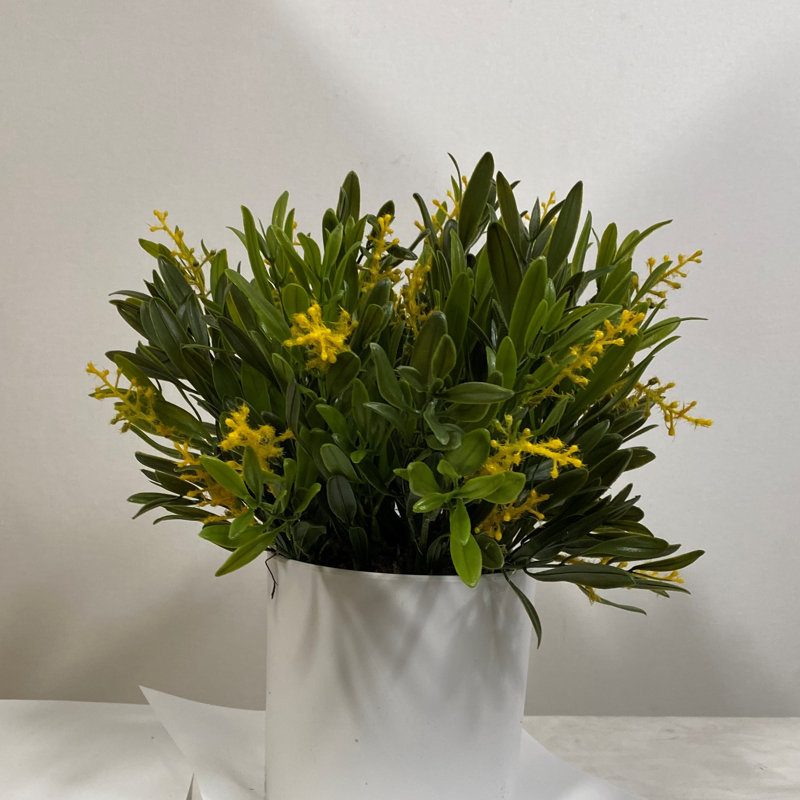 Mélangé dans un pot