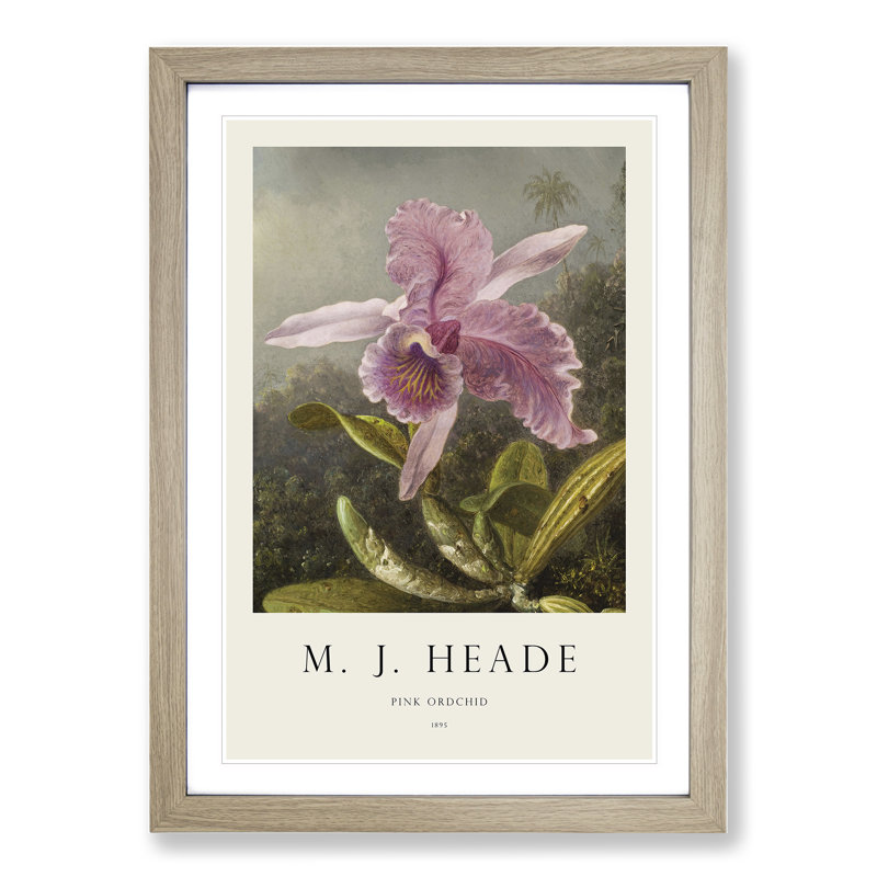 Pink Orchids Print by Martin Johnson Heade - Picture Frame Painting, Oak Framed, 36cm H x 27cm W x 2cm D
