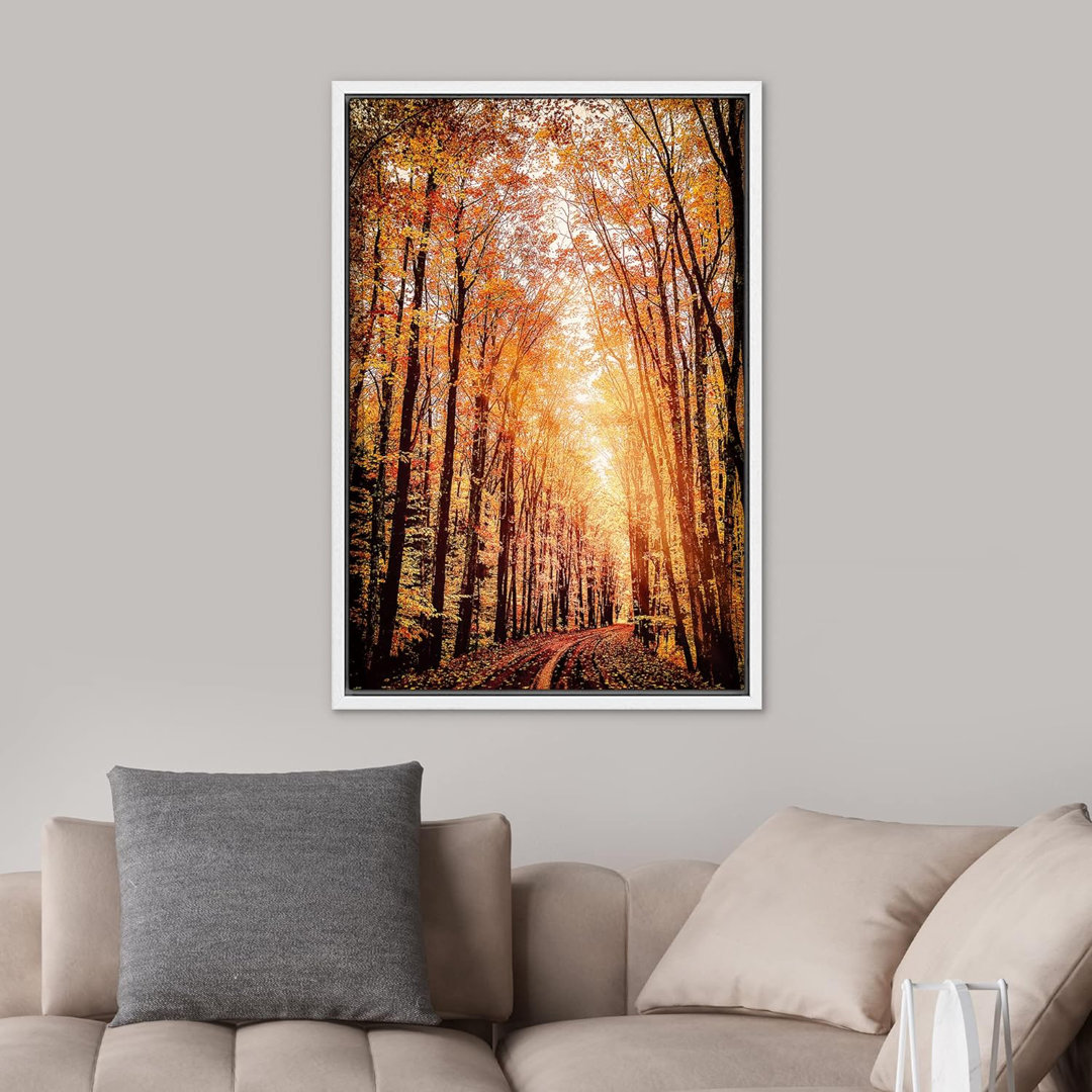 Autumn Fall " Orange Brown Autumn Forest Trees Landscape Pictures " IDEA4WALL Overall 