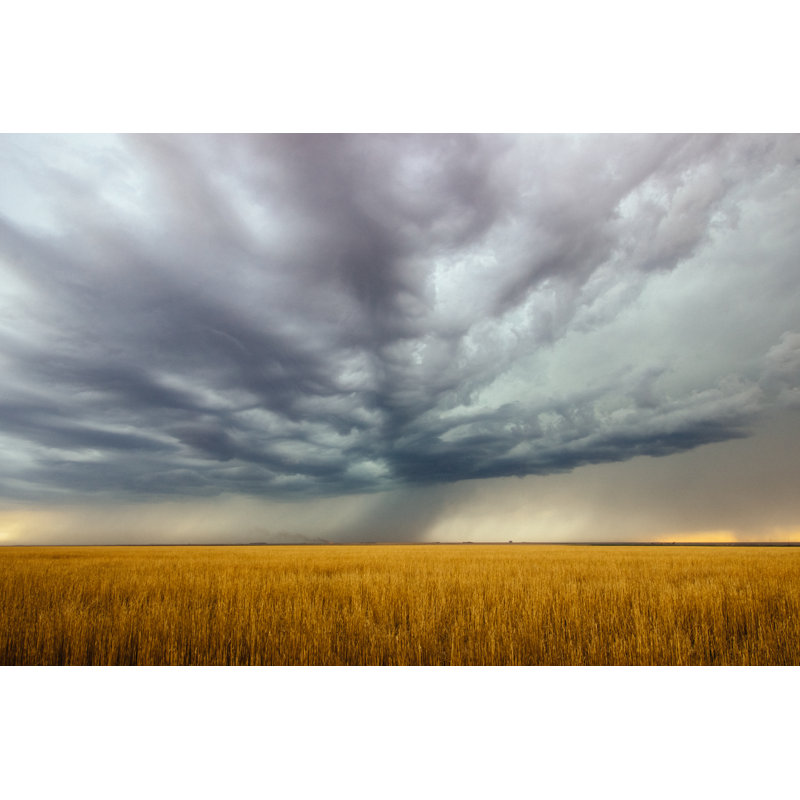 Wheat Field - Wrapped Canvas Print, 30cm H x 46cm W x 3.8cm D