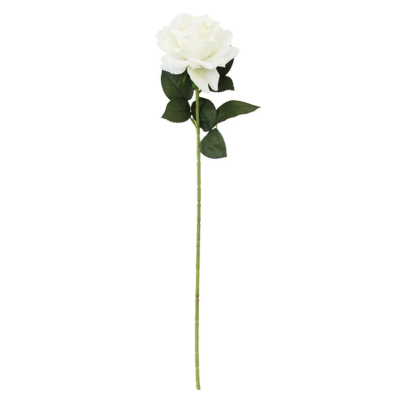 Grandes tiges roses en velours, Blanc crème