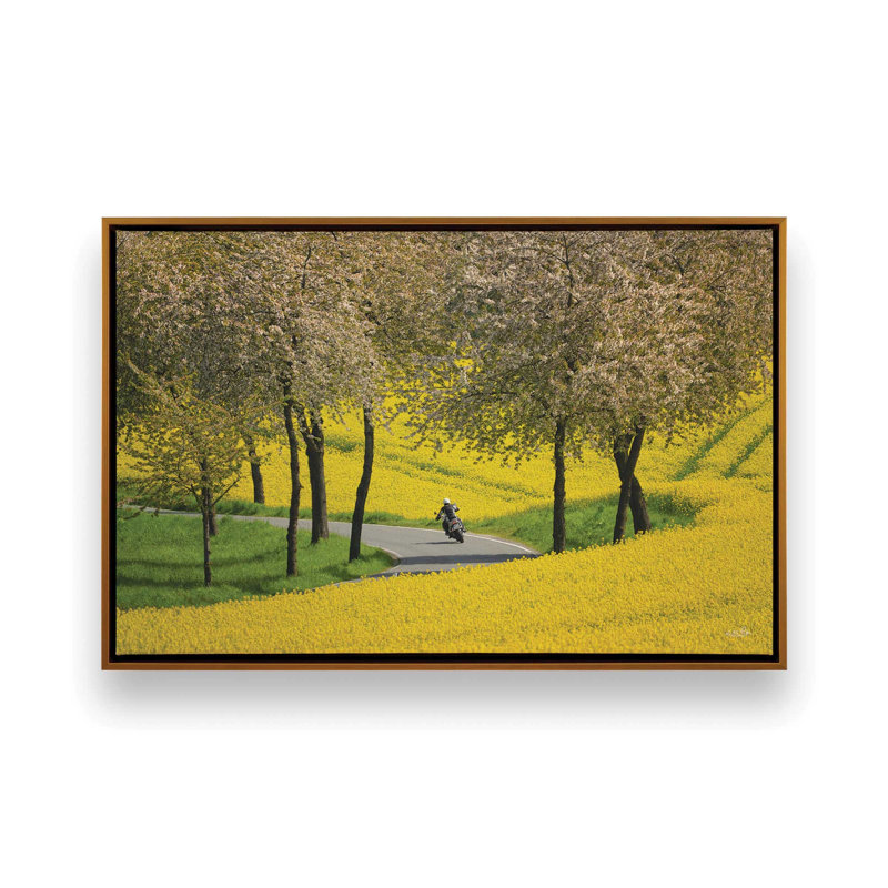 Freedom by Martin Podt Art Print, Framed Canvas, 48 W x 32 H, Gold