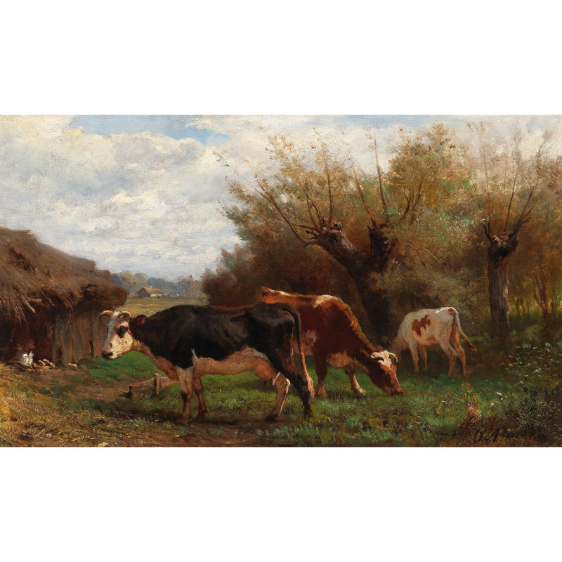 Cows Grazing