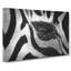 The Eye Of A Zebra - Wrapped Canvas Painting-56637670