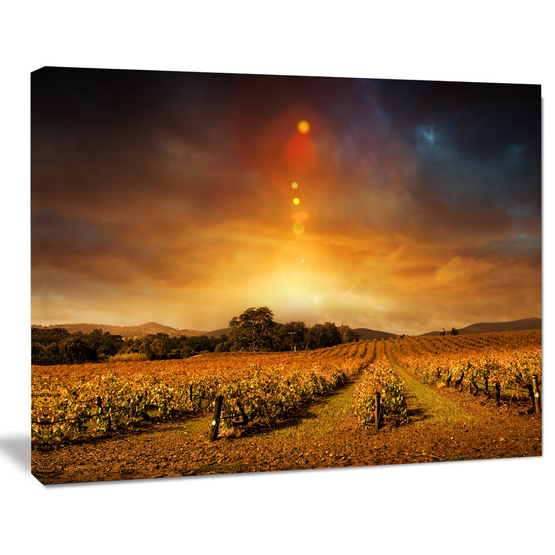 Yellow Autumn Vineyard Sunset Abstract Landscape Canvas Print