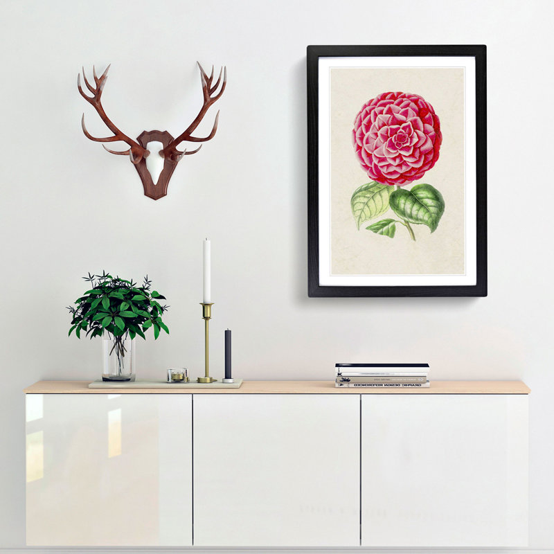 Bright Pink Camellia Flower Illustration - Framed Print, 48cm H x 36cm W x 2cm D, Black Framed