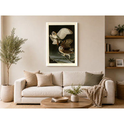 Barn Owl (1827) - Portrait, art mural sur toile