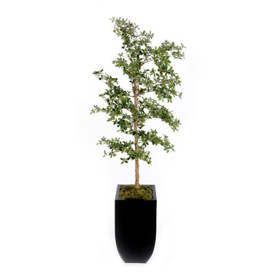 Pot à fleurs 86 po H