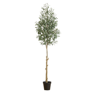 108 po plante