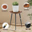 Plant Stand