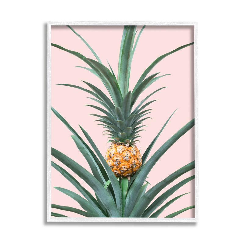 Ananas sur rose par Sissi et Seb, H 14 po x l 11 po x P 1,5 po, Giclée encadrée blanc bord de mer