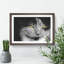 Portrait of a Cat Vol.4 - Framed Print-62759758-62759761