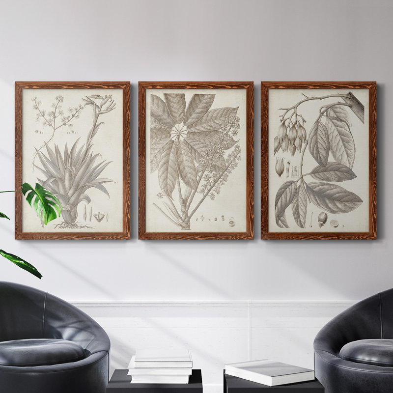 «Sepia Exotic Plants IV», ensemble de 3 peintures sur toile encadrées, H 43,5 po x l 31,5 po x P 1 po, Érable