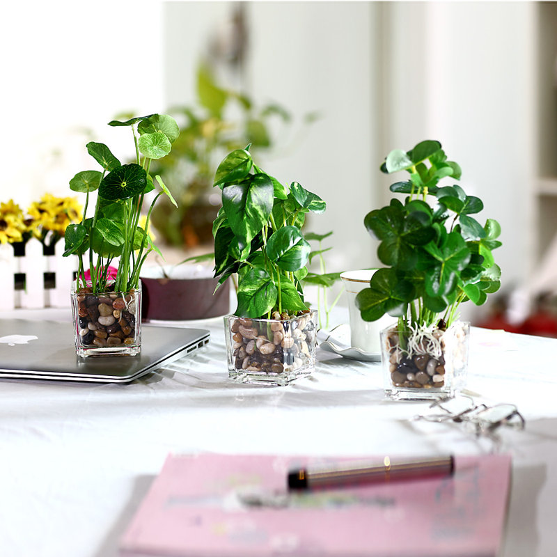 9.3'' Faux Foliage Plant in Glass Pot