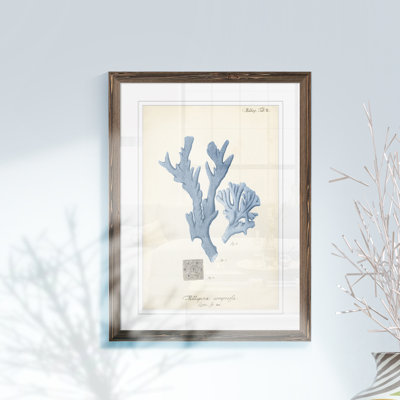 " Antique Coral In Navy I " by Paul Cezanne