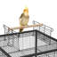 Cage à oiseaux Dzion