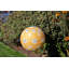 Lanterne solaire 12 po Stella-108587240