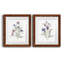 Color Variety III - ensemble de 2 peintures-729514771-729514770