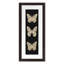 Flutter 9 Print by Todaro, Katie