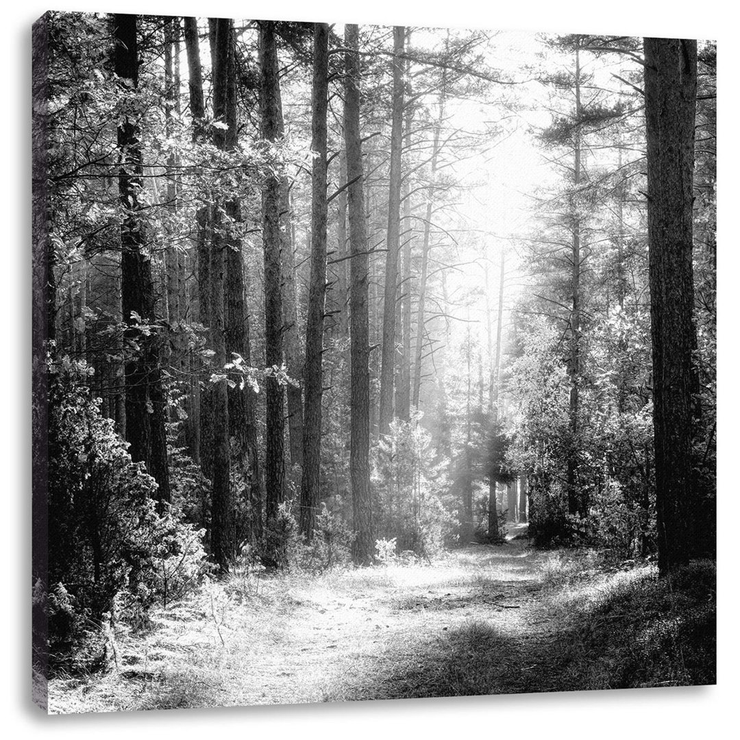 Leinwandbild Sonnige Lichtung im Herbstwald