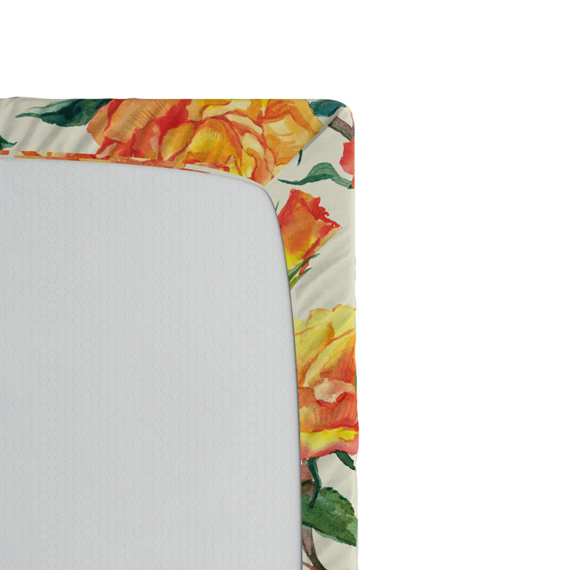 Drap-housse en microfibre Ambesonne, Double