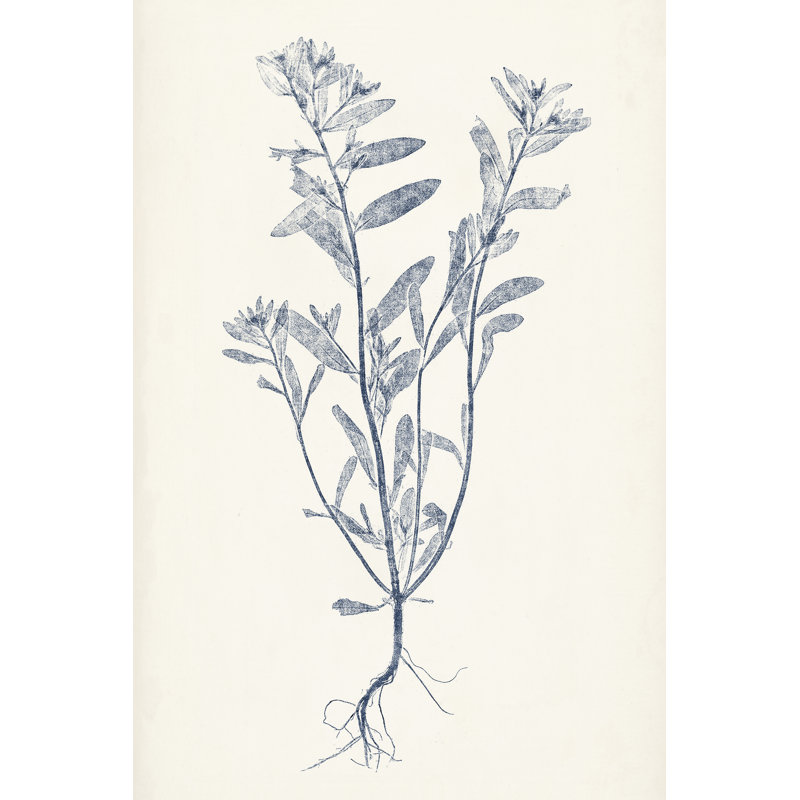Navy Botanicals II by Vision Studio - Painting, 46 cm H x 30 cm W, Wrapped Canvas