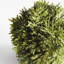 Wren Hill Faux Cypress Plant