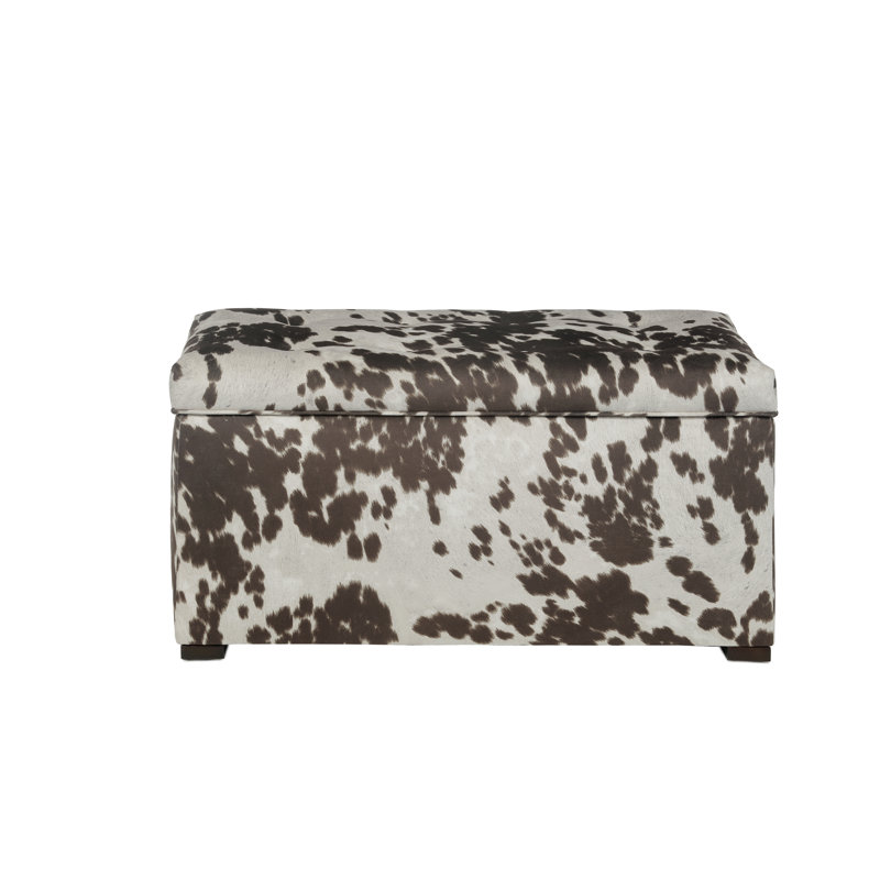 Banc de rangement rembourré Dawoud, H 19 po x l 55 po x P 18,5 po, Brun lait