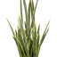 Faux Snake Plant (Sansevieria) Plant in Fiberstone Pot