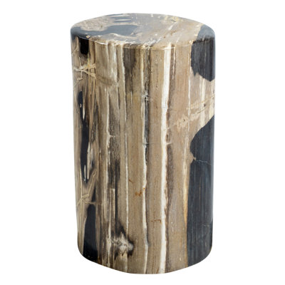 Fossil Relics End Table