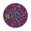 Sous-verres ronds en cuir Ouroboros-119015348