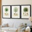 Arbre antique avec fruit VII - reproduction encadrée sur mesure de qualité supérieure mate - 3 pièces-1062297125-1062297126