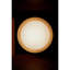Bond Sconce Single
