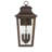 Hunter Spring Cove Outdoor 3 Light Large 17 Inch Wall Light-118363168