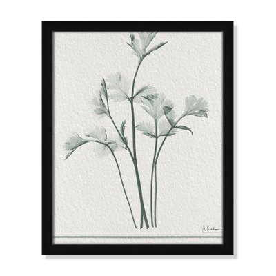 Jeanette "Parsley II" Print by Albert Koetsier