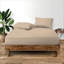 Janoshan Premium Egyptian Cotton Fitted Sheet-1341905116-1341905115