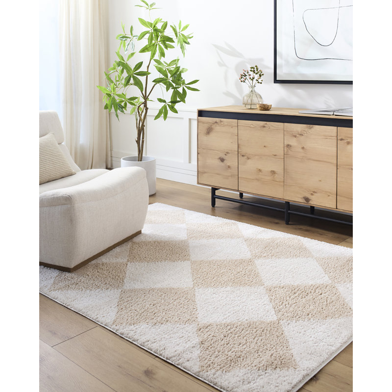 Machine Washable Shaggy Boho Beige Area Rug, Rectangle 120 x 170cm