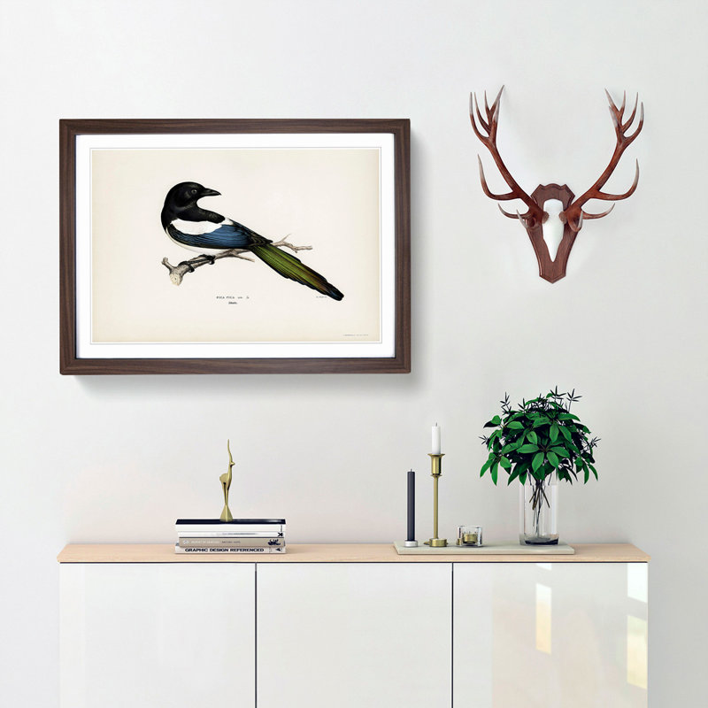 Eurasian Magpie by Von Wright - Picture Frame Painting Print, 36cm H x 48cm W x 2cm D, Walnut Framed