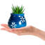 Mignons pots à plantes succulentes avec plateau de drainage en bambou avec pots de drainage et petits pots pour les petites plantes d'intérieur