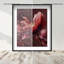 Merlot Blush Blossom II Framed Graphic Art-875261341-998646259
