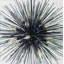 Kelly Wearstler Strada Round Chandelier-44746302-44746297