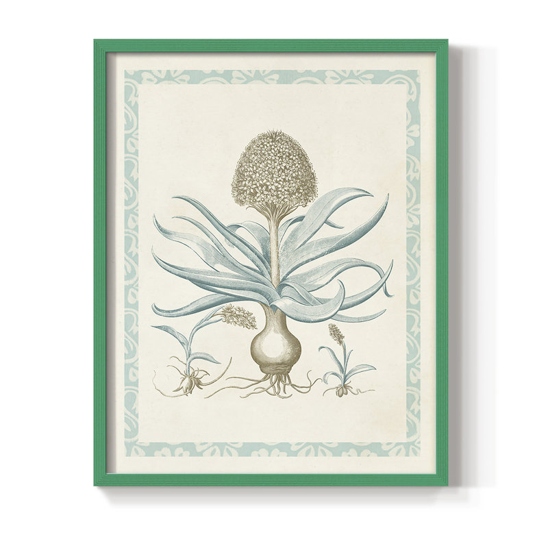 Reproduction encadrée Willow Blue Besler IV - bois massif, Vert, H 10 po x l 8 po