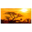 «Orange Glow of African Sunset», reproduction de photo sur toile tendue-399212260-388072607
