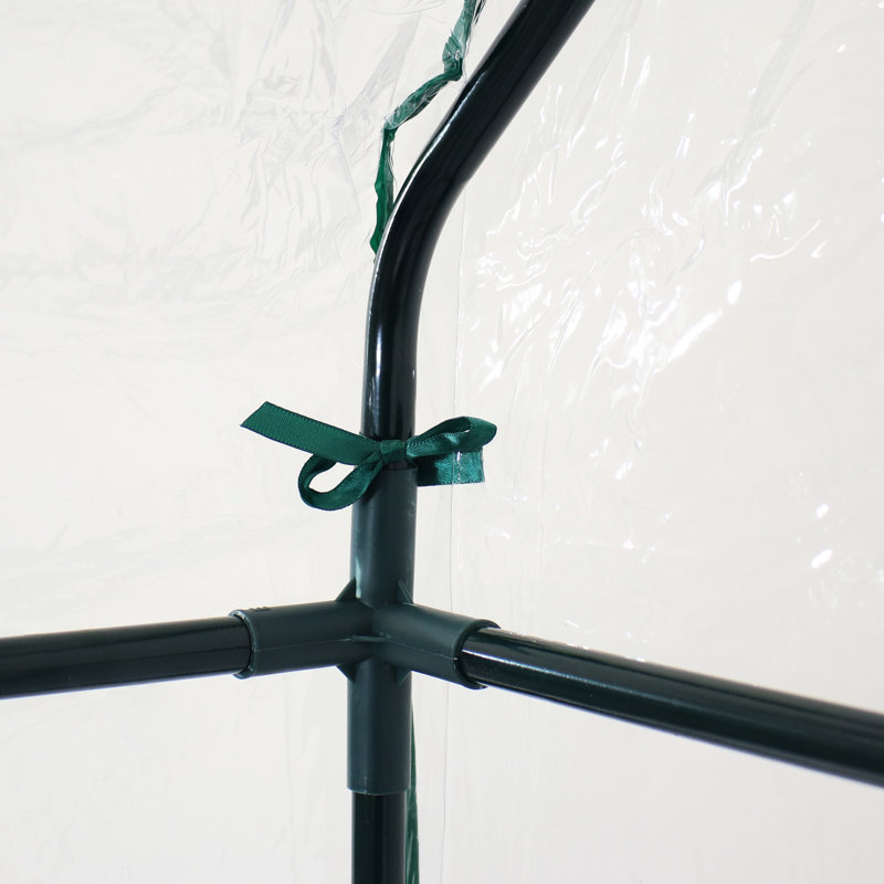 Clear PVC Walk-In Greenhouse with 4 Steel Shelves