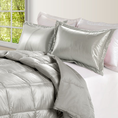 Modern & Contemporary Comforter