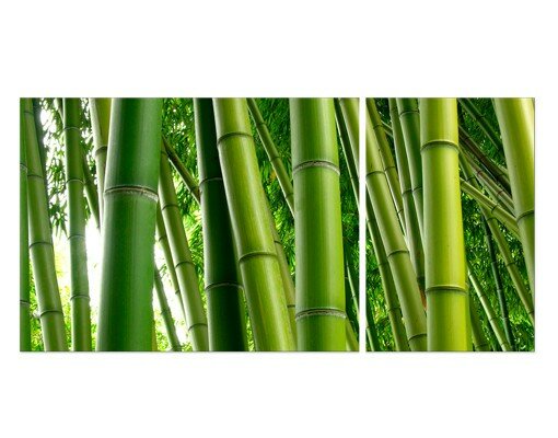 2-tlg. Leinwandbilder-Set Bamboo Trees