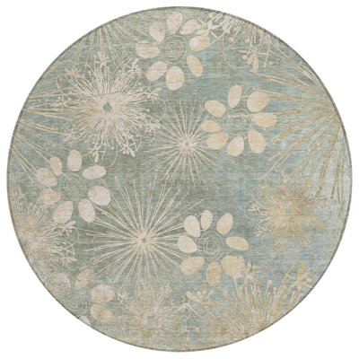 Machine Washable Indoor/Outdoor Kaczor ACN2225 Floral Rug