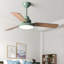 Ventilateur de plafond Janovia-16057270