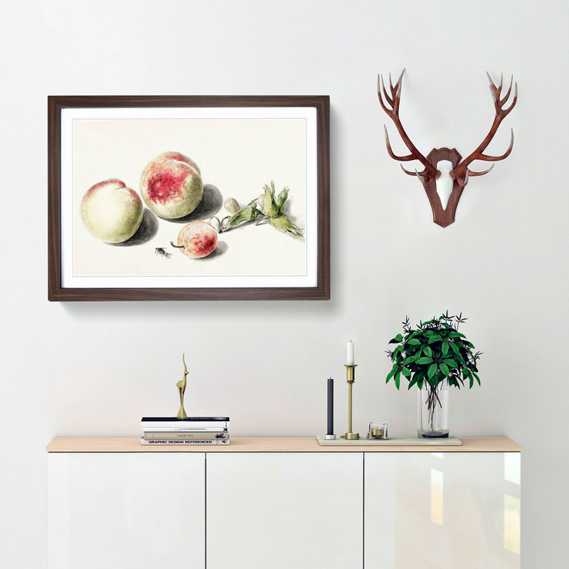 Peaches & Plum by E.G. Van De Kasteele - Picture Frame Painting Print, Walnut Framed, 36cm H x 48cm W x 2cm D